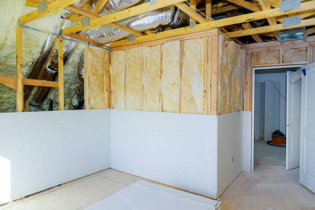 Insulation Repair Services in Harriman, TN