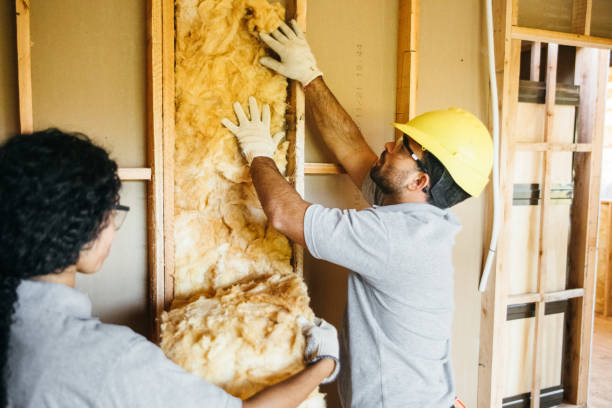 Best Insulation Inspection Services  in Harriman, TN
